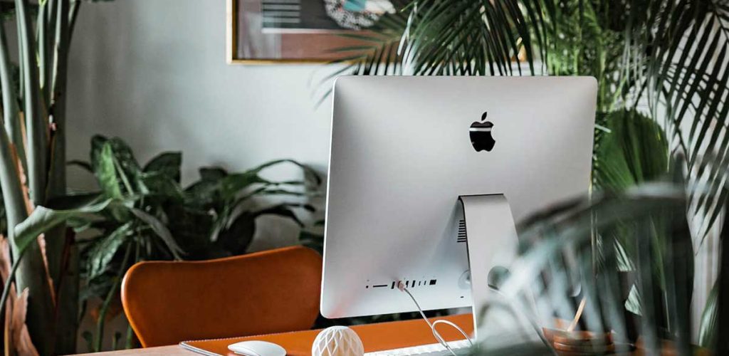blog-1 blog-1